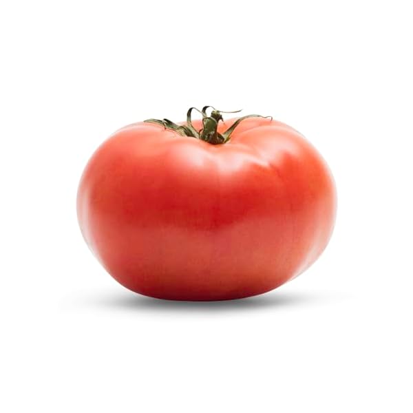 Slicer Tomato