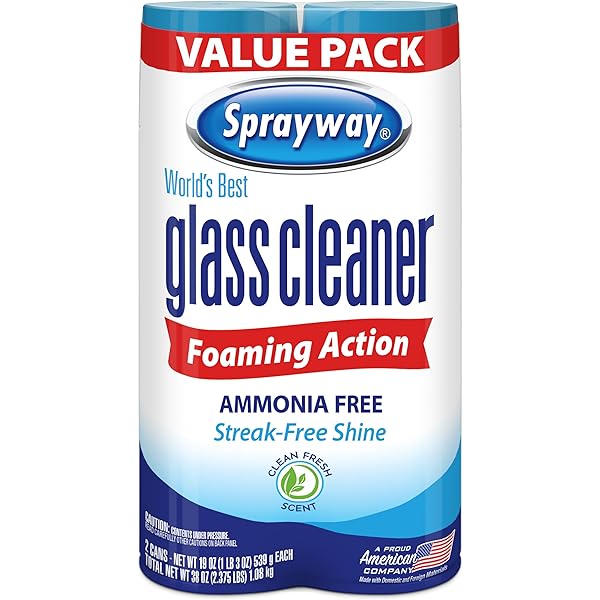 Sprayway Glass Cleaner Foaming Aerosol Spray, 19oz, Pack of 2 | Ammonia-Free, Streakless, Fast-Acting | Cleans & Polishes Glass Surfaces | Fresh Scent, Removes Fingerprints, Dust, Dirt, Smoke Film