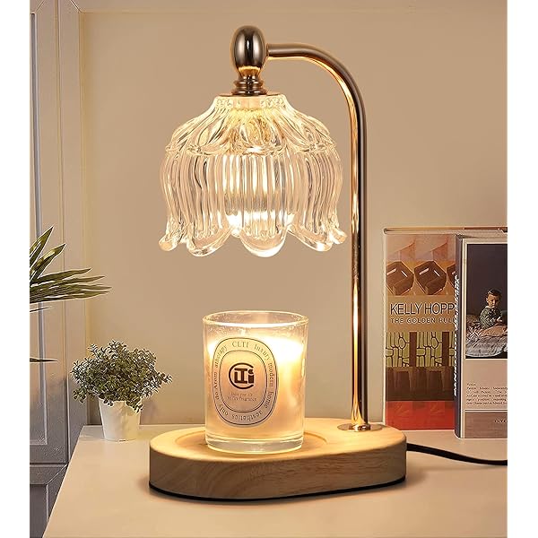 Candle Warmer Lamp with Timer and Dimmer,Electric Gold Light Gifts for Women Melt Wax Warmer Lamp with 2 Bulbs for Candle Jars House Warming New Home Decor Bedroom