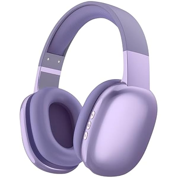 Gabba Goods Wireless Over Ear Bluetooth Headphones with Microphone - Wireless Headset -Noise Reduction - Bluetooth, Wired,Built in Micro SD for Travel, Home, Work TV,PC,Gaming,Cellphone (Lavender)