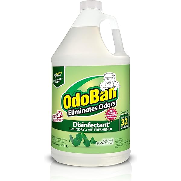 OdoBan Disinfectant Concentrate and Odor Eliminator, Made in the USA, Original Eucalyptus Scent, 1 Gallon