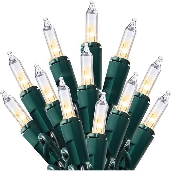 Joiedomi Clear Christmas String Lights Indoor,100 Count Mini Warm White Fairy Light,19.4 FT Lighting Decor for Patio Dorm Classroom Bedroom Holiday Wedding Party Garland Birthday Festival,Green Wire