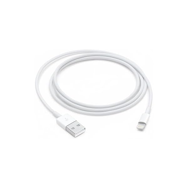 Apple Lightning to USB Cable (1 m)