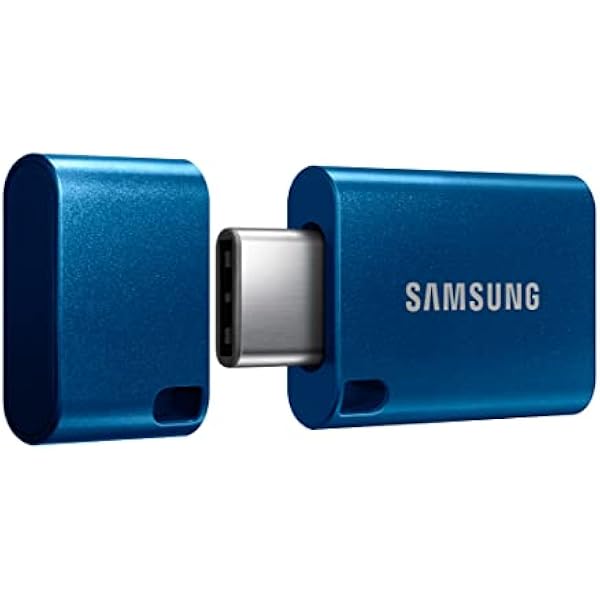 Samsung Type-C USB Flash Drive, 256GB, Transfers 4GB Files in 11 Secs w/Up to 400MB/s USB 3.2 Gen 1 Read Speeds, Compatible w/USB 3.0/2.0, Waterproof, 2022, Blue, MUF-256DA/AM