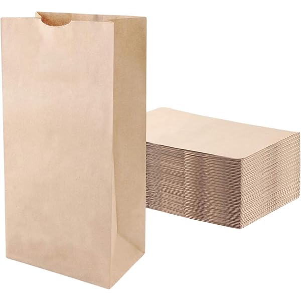 Perfect Stix - Brown Bag 2-100 count, 2lb Brown Paper Bags - Brown Bags - 100 count (Pack of 1)