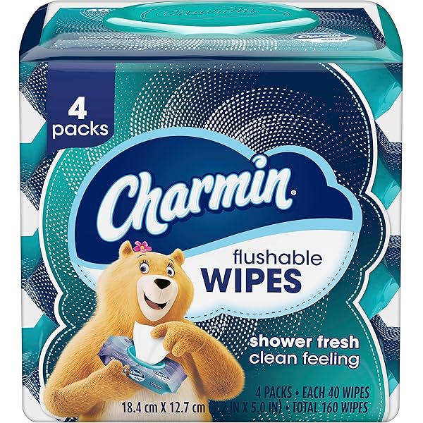 Charmin Flushable Wipes, 160 Total Wipes (4 Packs of 40)