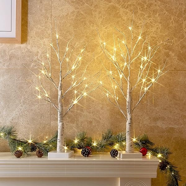 PEIDUO Christmas Decorations Indoor, 2 FT Birch Tree with LED Lights, Fairy Light Spirit Tree for Christmas Decor, Warm White Lighted Birch Trees for Home Decor Indoor, Battery Powered, Timer (2PK)