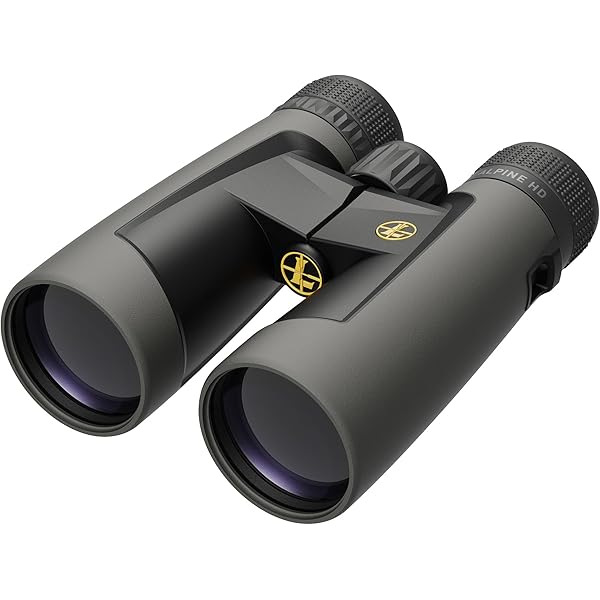Leupold BX-2 Alpine HD Binocular, 10x50mm (181178)
