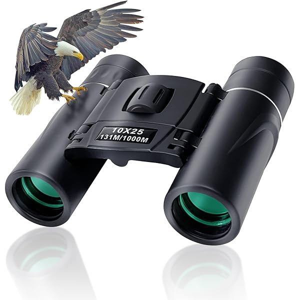 10x25 Compact Binoculars for Adults & Kids - Waterproof with Low Light Night Vision, Ideal for Concerts, Bird Watching, Hunting & Cruises