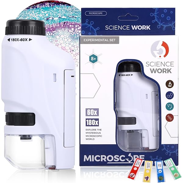 Axlksia Mini Microscope for Kids and Adults, Handheld 60x-180x LED Lighted Pocket Microscope with 4 Slides for Student Science Lab Education (White)