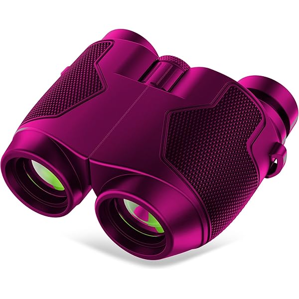 12x25 Binoculars for Adults and Kids Large Eyepiece for Bird Watching,Hiking,Concert ZE005