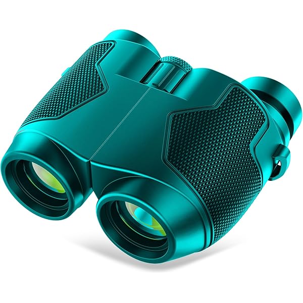 12x25 Binoculars for Adults and Kids Large Eyepiece for Bird Watching,Hiking,Concert ZE134