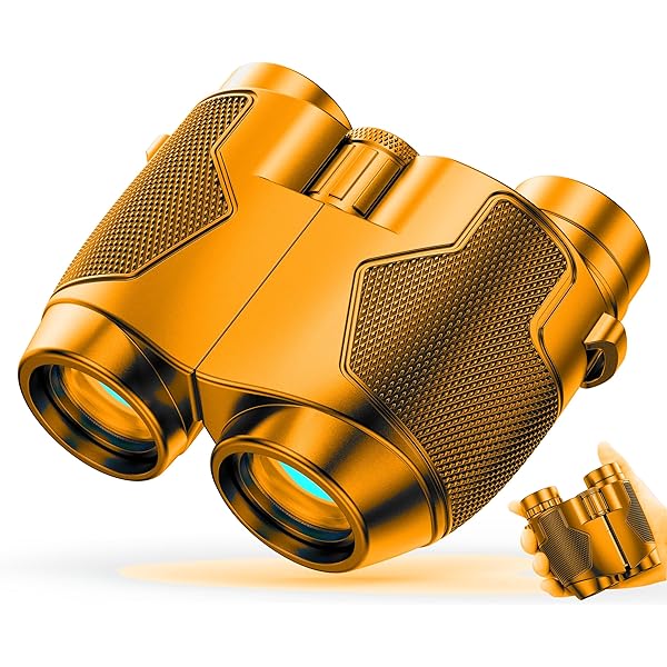 12x25 Binoculars for Adults and Kids Large Eyepiece for Bird Watching,Hiking,Concert ZE057