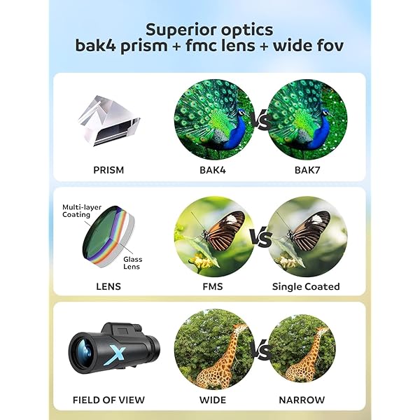 12x50 High-Power Monocular Telescope with Smartphone Tripod, Portable Bag - Ideal for Bird Watching, Hunting, Hiking, Camping - Large Vision with BAK4 Prism and FMC Lens Technology, Black