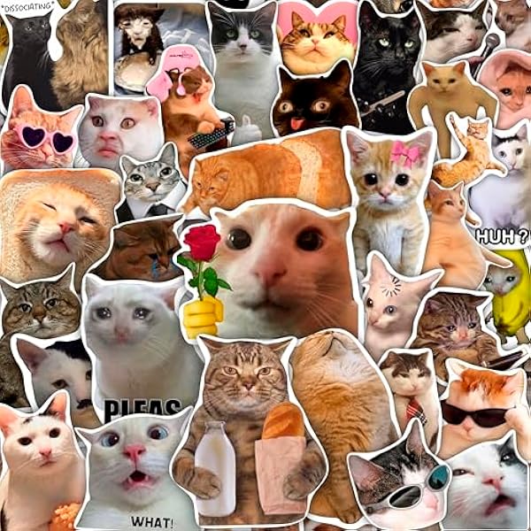 100Pcs Cat Meme Stickers, Funny Cat Sickers for Water Bottle -Pet Meme Party Decorations, Favors - Funny Decals - Gift for Women & Men