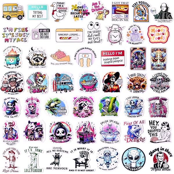 50PC Funny Stickers Decal Vinyl Sticker Bulk Fun Cool Meme Sarcastic Snarky Vintage Hip Decor Pop Culture Pack for Phone Case Bumper Water Bottle Laptop Computer Office School Adult Men Women Teens