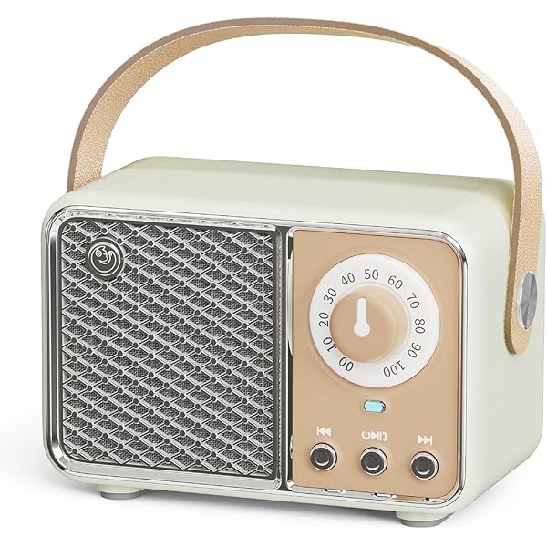 Dosmix Retro Bluetooth Speaker, Vintage Decor, Wireless Bluetooth Speakers, Cute Old Fashion Style for Kitchen Desk Bedroom Office Party Outdoor Kawaii Accessories (Smoke Green)