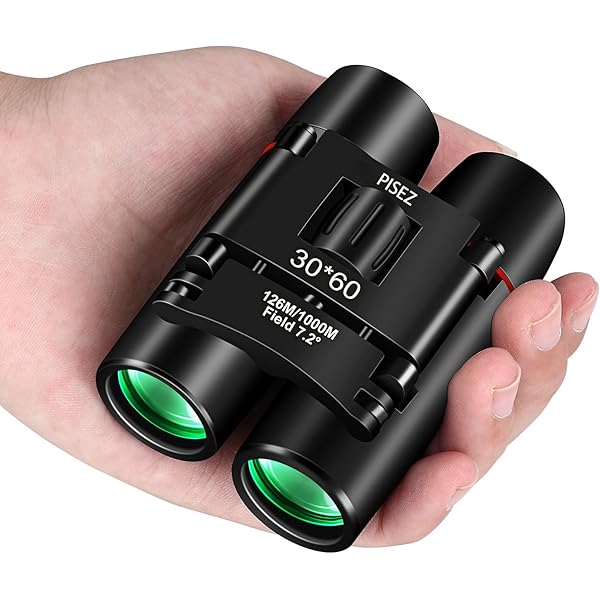 PISEZ 30X60 Compact Binoculars for Adults and Kids，Lightweight Foldable Easy Focus Small Binoculars for Bird Watching Hunting Concert Traveling Theater Opera Sightseeing