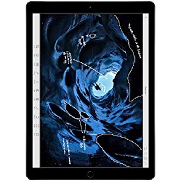 Apple iPad Pro 12.9in Tablet (256GB Wi-FI, Space Gray)(Renewed)