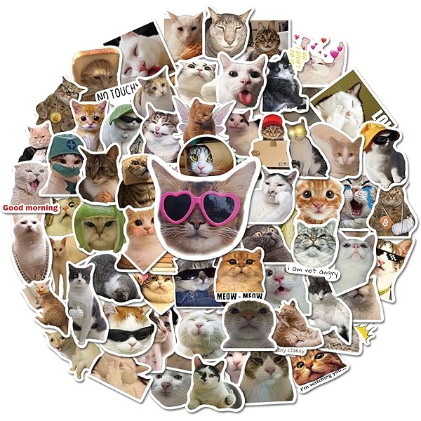 100 Pcs Cat Stickers, Cute Meme Kitten Stickers for Water Bottles Laptop Guitar Suitcase, DIY Waterproof Vinyl Decals Gifts for Adults Teens Kids Boys Girls